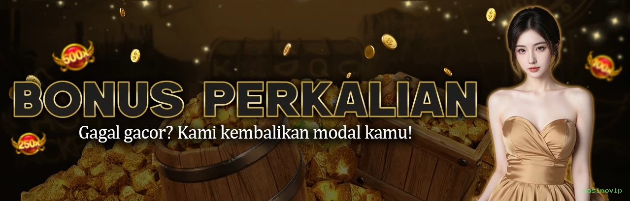 casinovip Bet